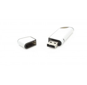 USB Flash / Jump Drive (2GB)